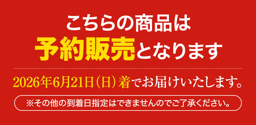 父の日ギフトB