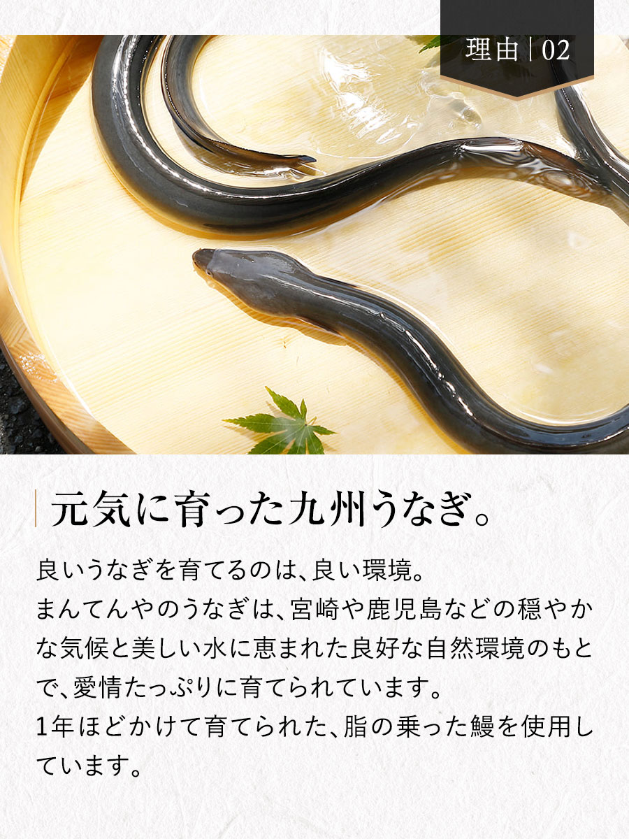 手焼き炭火うなぎ蒲焼2尾(たれ・山椒各2袋付き) 福さ屋 辛子明太子