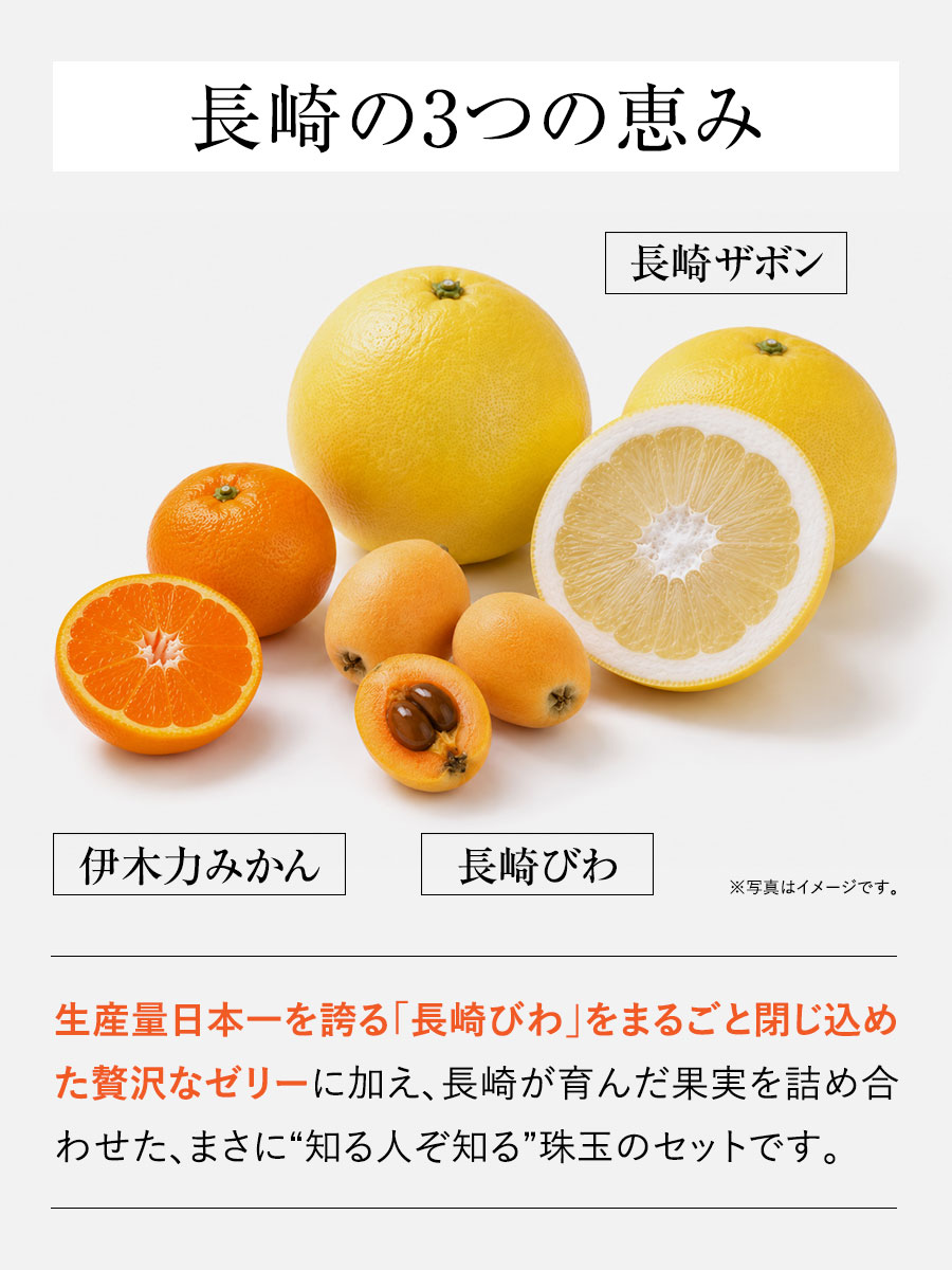 長崎旬彩 ゼリー詰め合わせ 福さ屋 辛子明太子
