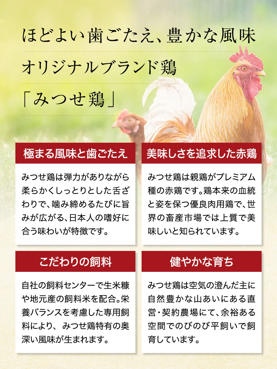 みつせ鶏本舗乾杯セット 福さ屋 辛子明太子