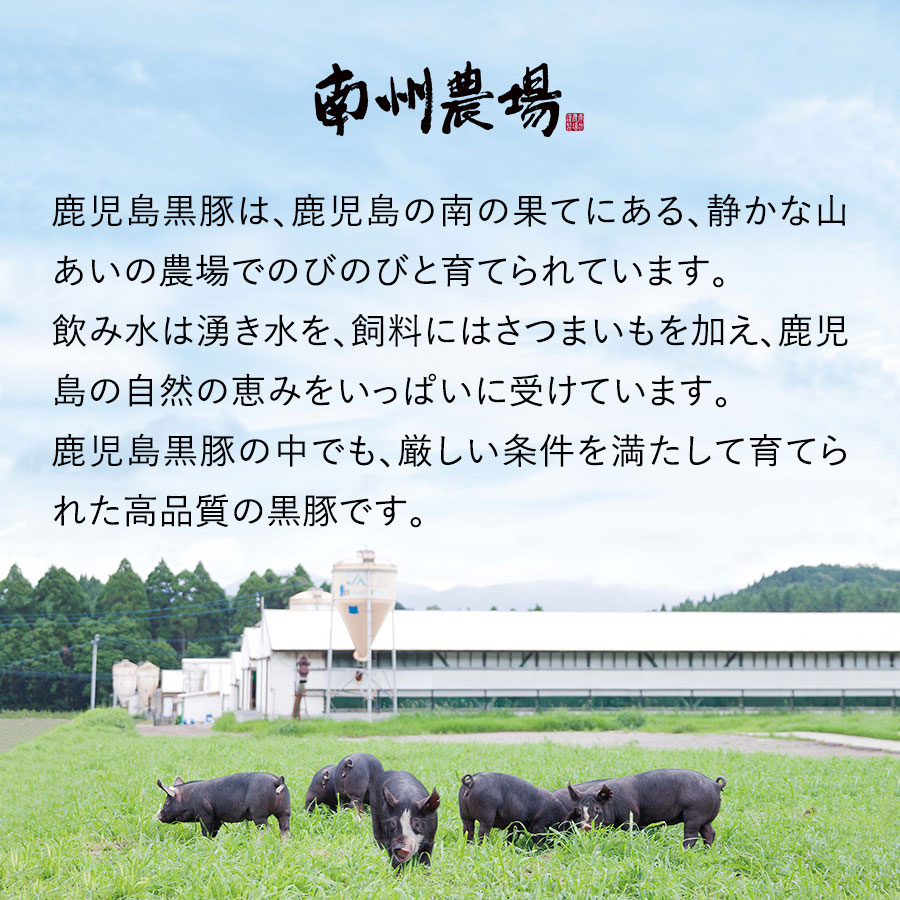鹿児島黒豚しゃぶしゃぶセット