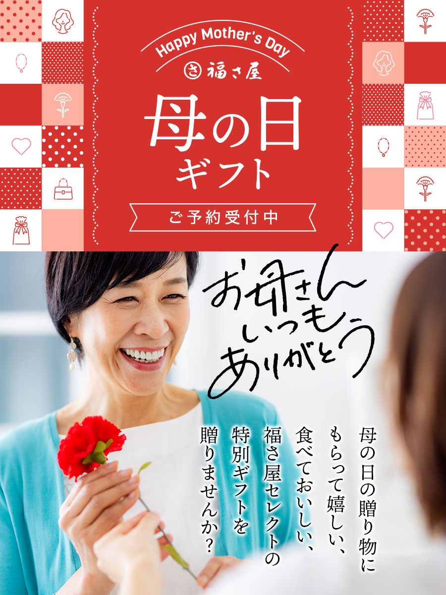 母の日ギフトB 福さ屋バラエティセット