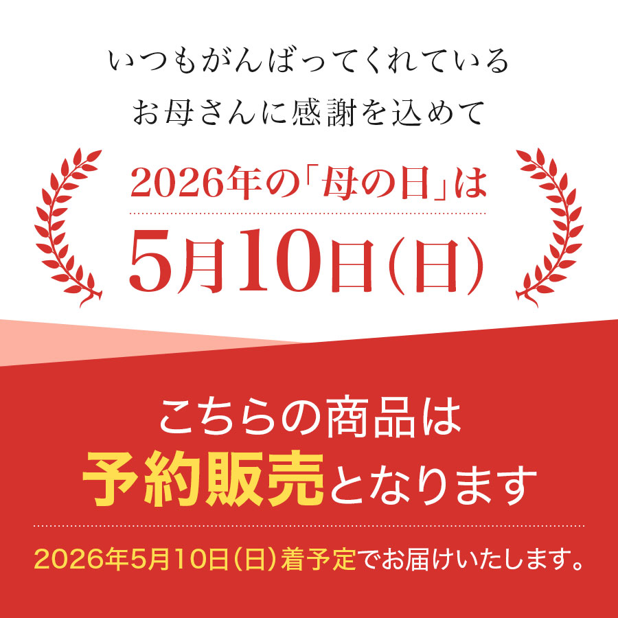 母の日ギフトB 福さ屋バラエティセット
