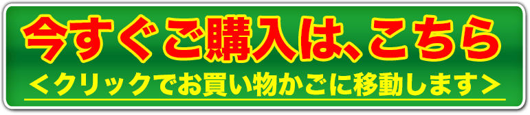 今すぐご購入は、こちら