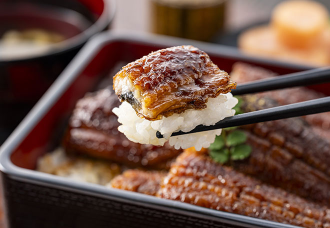 夏の贈り物特集